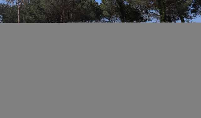 Ünye Belediye Başkanı Tavlı, yapımı devam eden projeleri inceledi