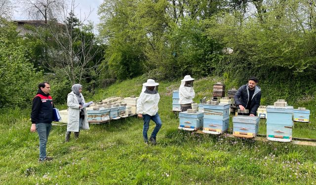 Yığılca'da "Hayvan Genetik Kaynaklarının Yerinde Korunması" projesi başlatıldı