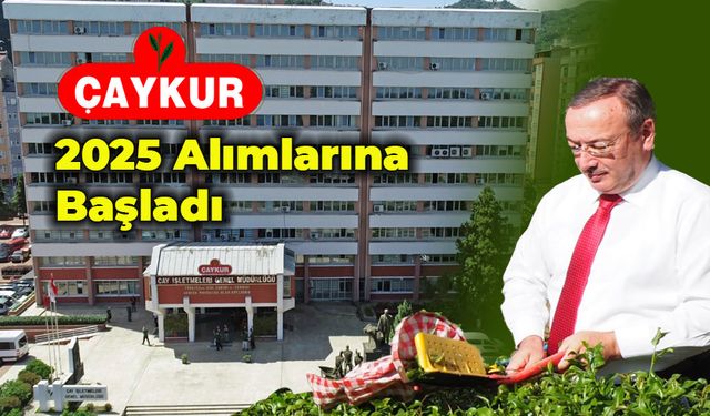 2025 Yılı Yaş Çay Kampanyası Başladı