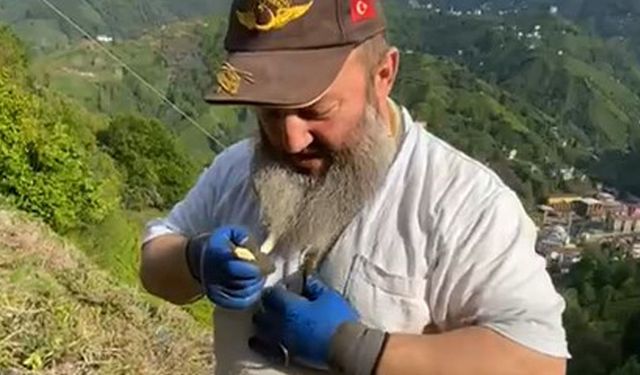 Çay bahçesinde yakaladığı 1 metrelik yılanı boynuna doladı