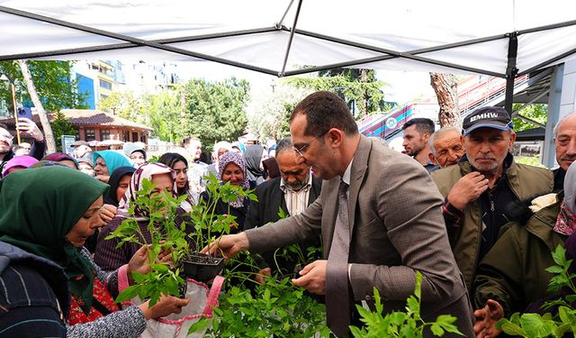 Akçaabat Belediyesi 10 Bin Adet Sebze Fidan Dağıttı