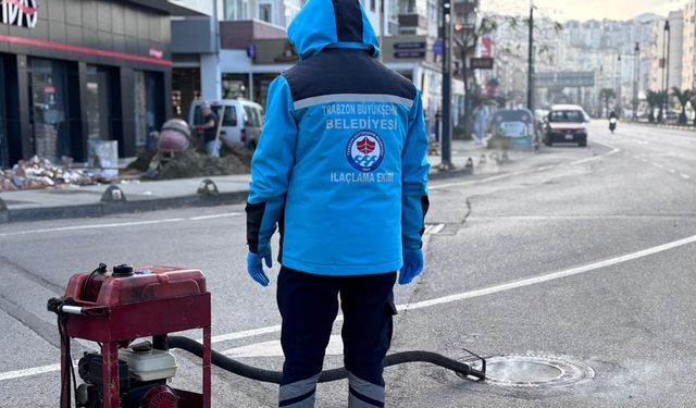 Trabzon Büyükşehir Vektörle Mücadelede Yaza Hazır