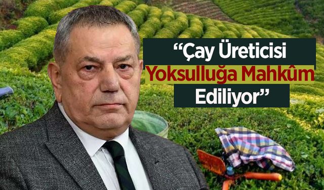 CHP'li Tahsin Ocaklı’dan Meclis'te Çay Üreticileri İçin Sert Eleştiri: "Emeği Hiçe Sayıyorsunuz!"