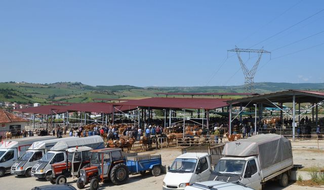 Havza Belediyesi Kurban Bayramı dolayısıyla bir dizi tedbir aldı