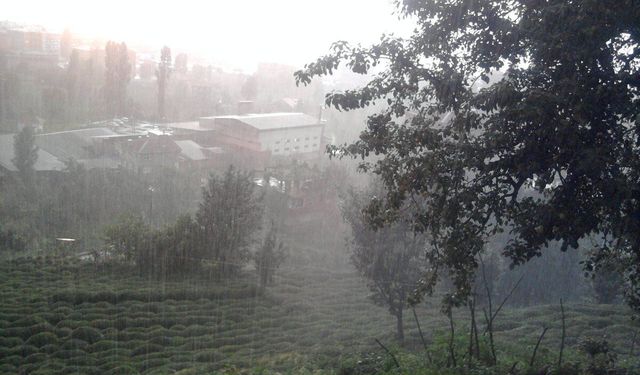 Rize ve Artvin İçin Kuvvetli Yağış Uyarısı: Sel ve Heyelan Riskine Dikkat