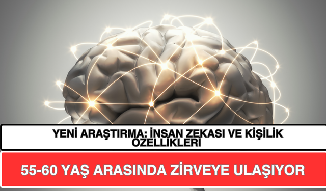 Yeni Araştırma: İnsan Zekası ve Kişilik Özellikleri 55-60 Yaş Arasında Zirveye Ulaşıyor