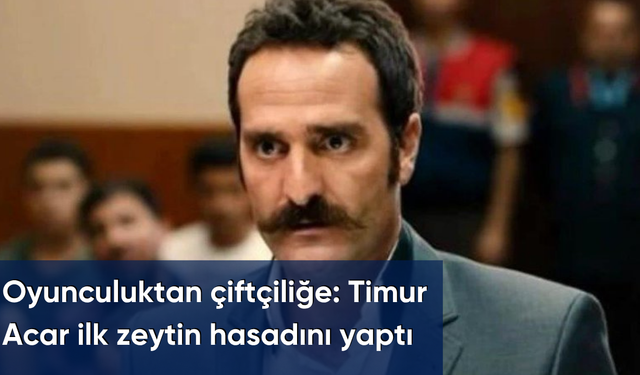 Oyunculuktan çiftçiliğe: Timur Acar ilk zeytin hasadını yaptı