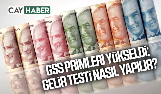 GSS Primleri Yükseldi: Gelir Testi nasıl yapılır?