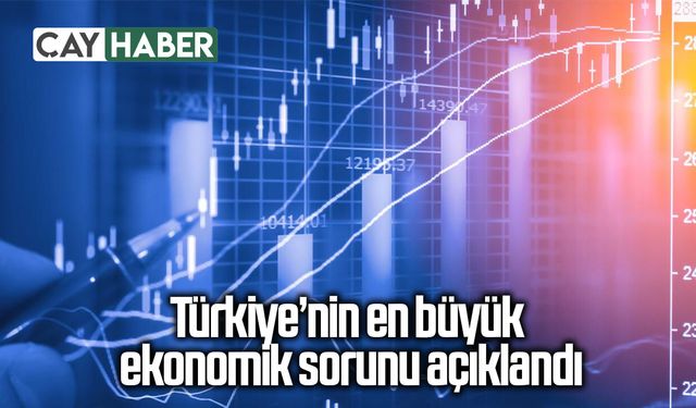 Türkiye’nin en büyük ekonomik sorunu açıklandı