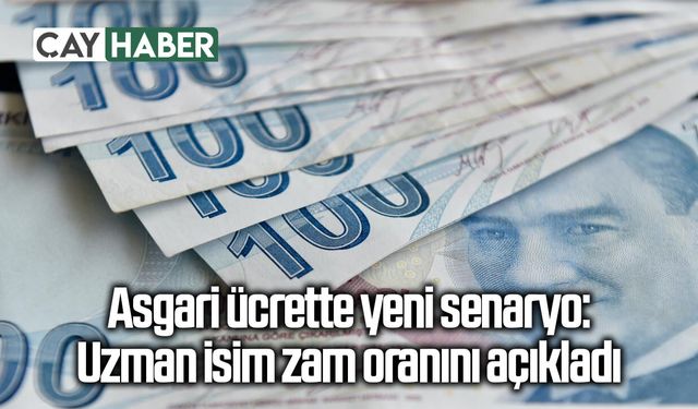 Asgari ücrette yeni senaryo: Uzman isim zam oranını açıkladı