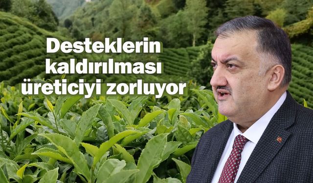 Karal: Çay üreticisi sezona 1-0 geriden başlıyor
