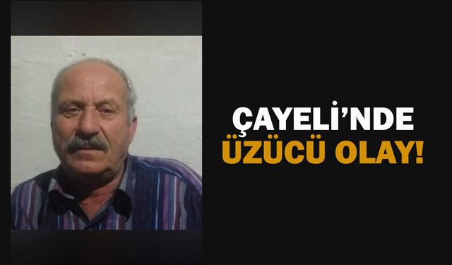 Çayeli’nde üzücü olay: Arı sokması can aldı