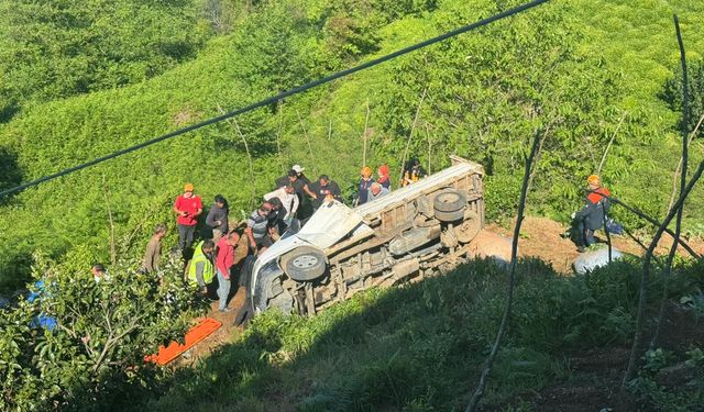 Çayeli'nde çay bahçesine devrilen kamyonetin sürücüsü yaralandı