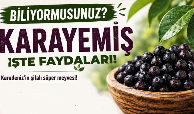 Karadeniz’in Şifalı Meyvesi: Karayemiş