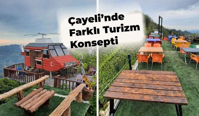 Çayeli’nde Çay Bahçesindeki Helikopter İlgi Çekiyor