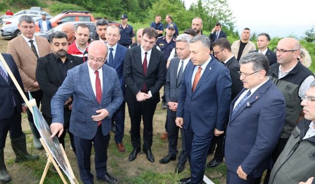 Trabzon'da sahipsiz hayvanlar için doğal yaşam alanının yapımına başlandı