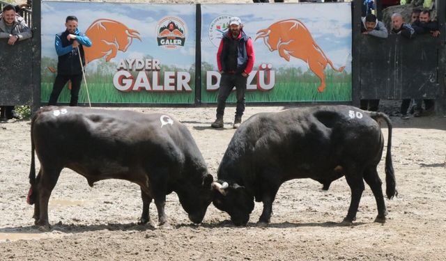 Rize'de "30. Çamlıhemşin Ayder Kültür, Sanat ve Doğa Festivali" sona erdi