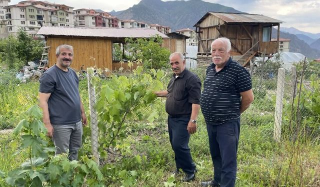 Artvin'de eğitimciler hobi bahçelerini üretim alanına dönüştürdü