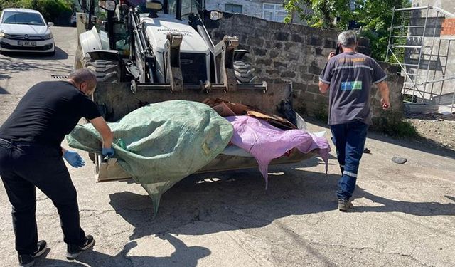 Rize’de 11 Büyükbaş Hayvanda Tüberküloz Tespit Edildi