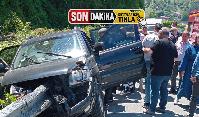 Artvin'de refüje çarpan cipin sürücüsü yaralandı