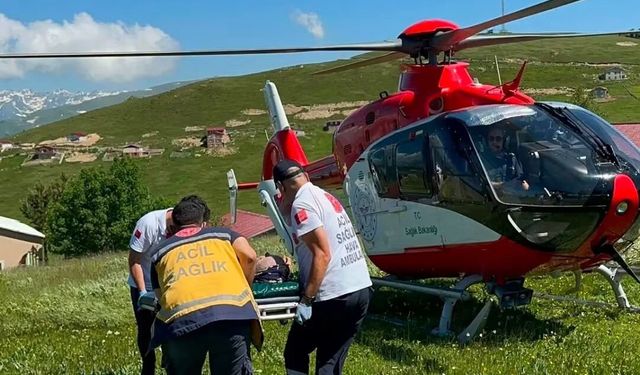 Yaylada mantardan zehirlenen kişi ambulans helikopterle hastaneye kaldırıldı