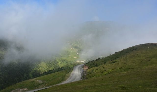 Zigana Dağı'nda sis etkili oldu