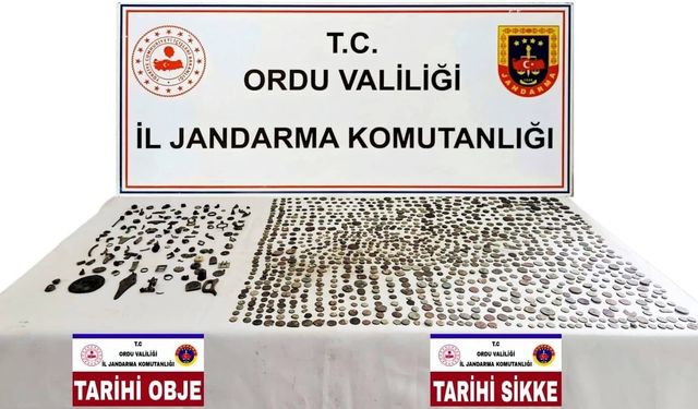 Ordu'da kaçakçılık ve tarihi eser operasyonu