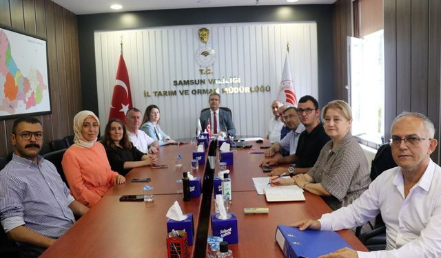 Samsun'da fındık rekolte tahmini çalışmaları tamamlandı