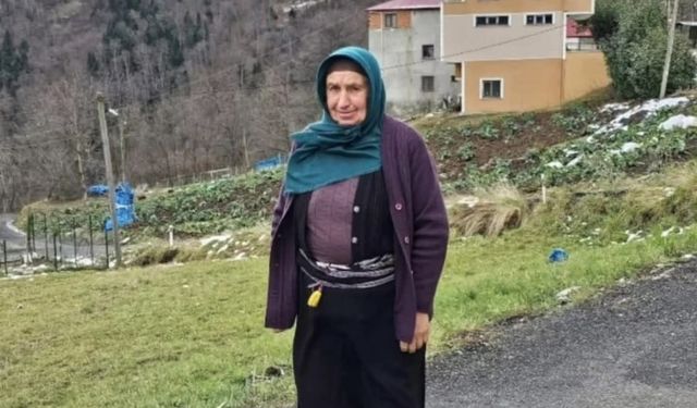 Trabzon 'ot biçme' kavgasında yaralanan annenin tedavisi sürüyor