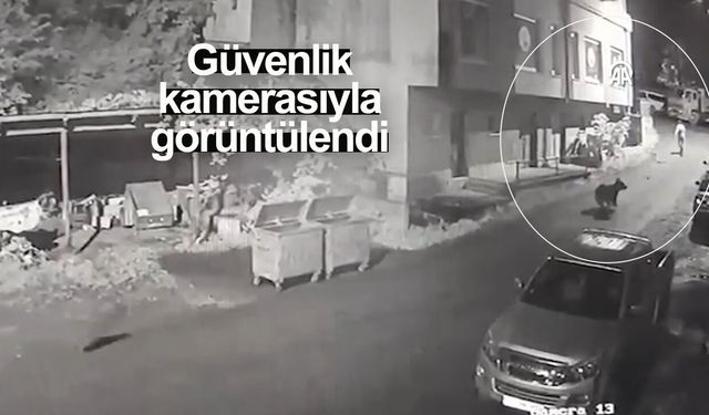 Rize'de bir kişinin anne ayı ve yavrularından kaçış anları güvenlik kamerasında