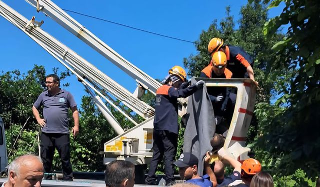 Çayeli'nde acı olay: Ağaç budarken elektrik akımına kapılan kişi hayatını kaybetti