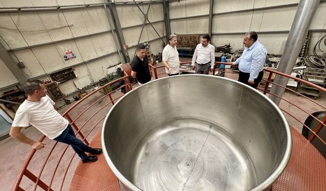 Kelkit şeker fasulyesi için dünya rekoru denemesi