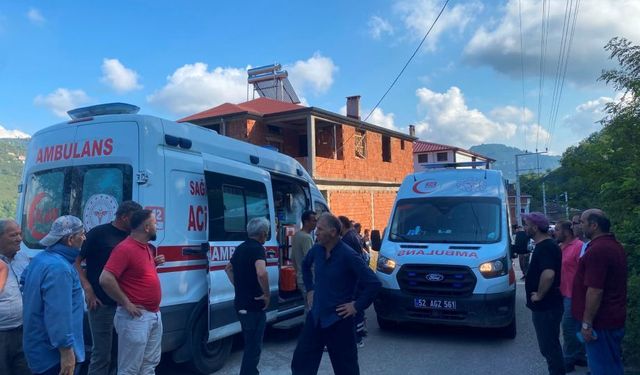 Ordu'da tarım aracının devrildiği kazada 3 kişi yaralandı