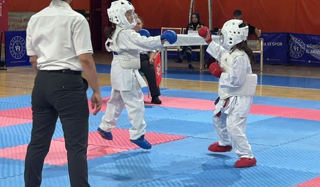 Gümüşhane'de karate turnuvası düzenlendi