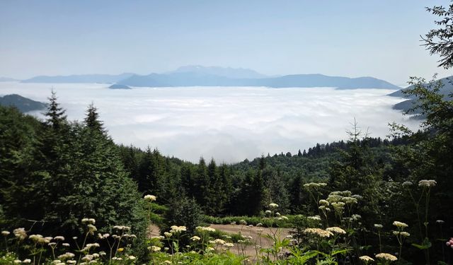 Artvin'de sis bulutu dronla görüntülendi