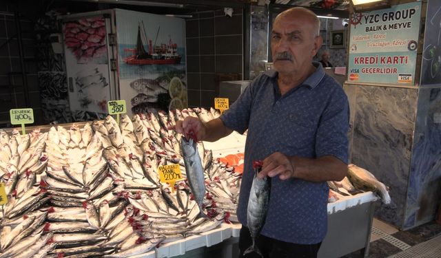 Av yasağı sona eriyor; Karadeniz'de balıkçılar palamuttan umutlu