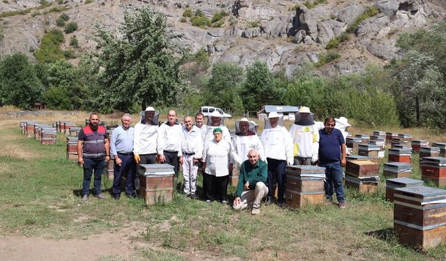 Ordu'da bal hasadına başlandı