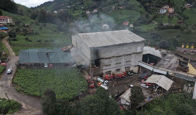 Çayeli'nde çay fabrikasında çıkan yangın kontrol altına alındı