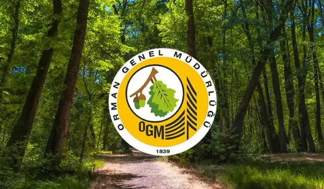 PAZAR ORMAN İŞLETME MÜDÜRLÜĞÜ KATI YAKIT ALIM İHALE İLANI