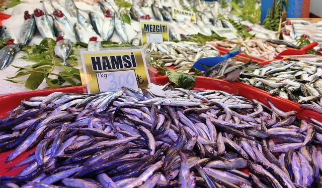 Karadeniz'de bereketli geçen balık avı tezgahları hareketlendirdi