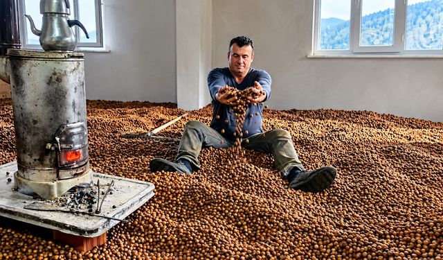 Yağmur Fındığı Kurutmaya İzin Vermedi, Çareyi Soba Yakmakta Buldu