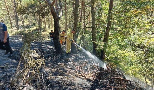 Ordu'da örtü yangını söndürüldü