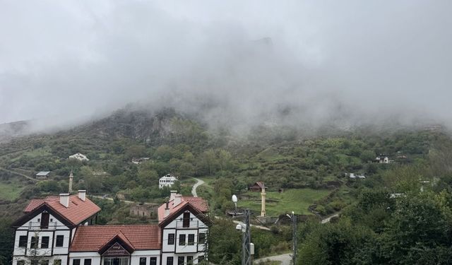 Gümüşhane'de sis etkili oldu