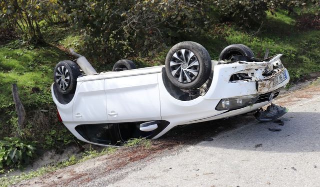 Ordu'da devrilen otomobilin sürücüsü yaralandı