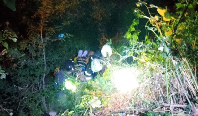 20 metre yükseklikten ormanlık alana düşerek yaralandı