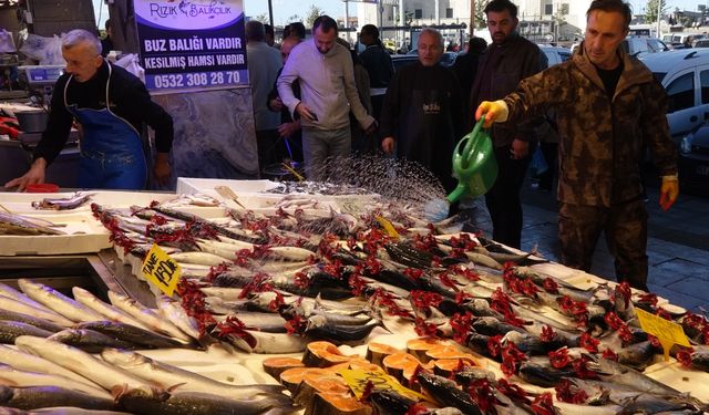 Karadeniz'de av sezonu bereketi; tezgahlar palamutla doldu