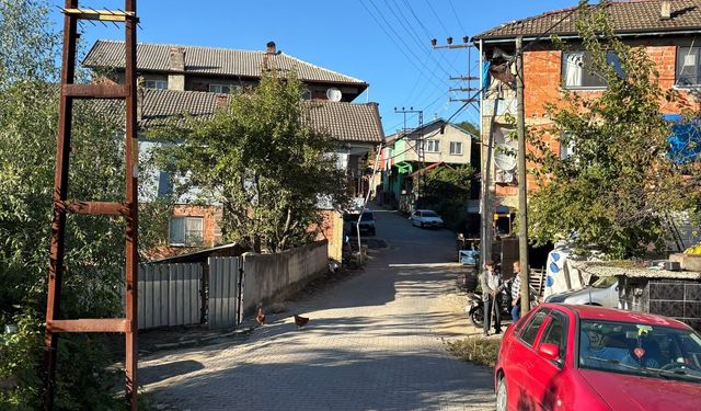 Kestane toplamak için gittiği ormanda öldü