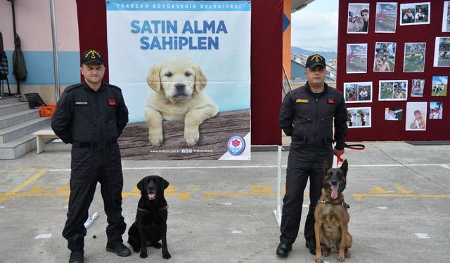 Trabzon'da Büyükşehir'den hayvan sevgisi için renkli etkinlik