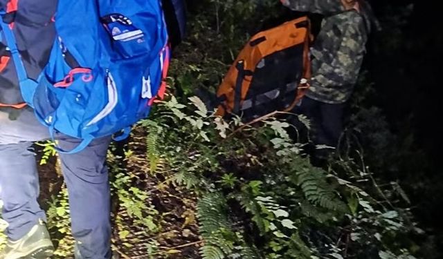 Uçuruma yuvarlanan kamyonetin sürücüsü öldü, 2 çocuğu yaralandı