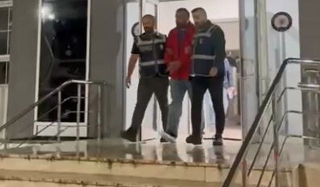 Trabzon'da 12 yıl önce kaybolan 2 kişi, öldürülüp ormana gömülmüş